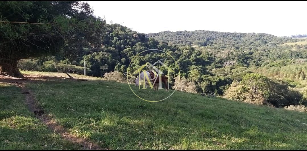 Chácara, 18 hectares - Foto 22