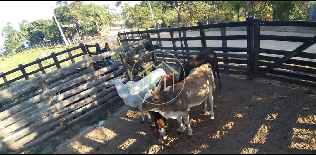 Chácara, 18 hectares - Foto 21