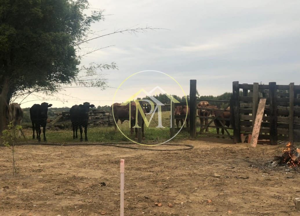 Chácara, 18 hectares - Foto 23