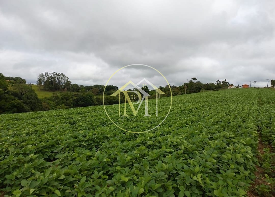 Chácara, 18 hectares - Foto 24