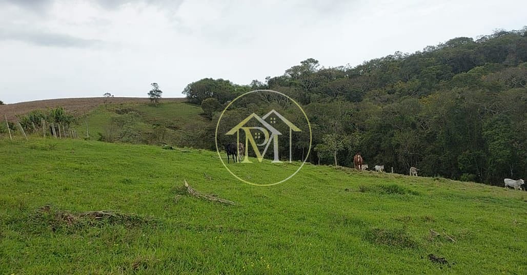 Chácara, 18 hectares - Foto 25