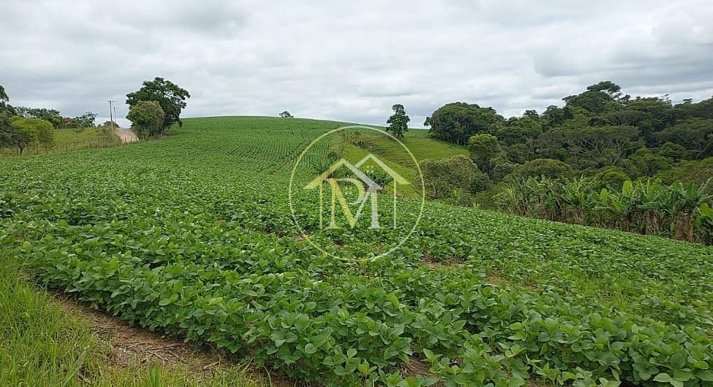 Chácara, 18 hectares - Foto 27