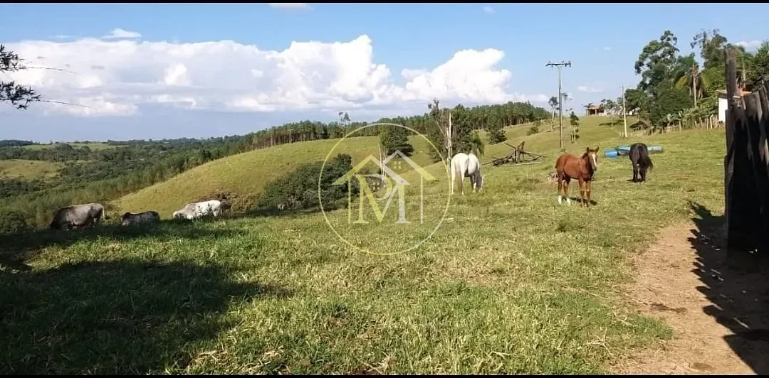 Chácara, 18 hectares - Foto 13