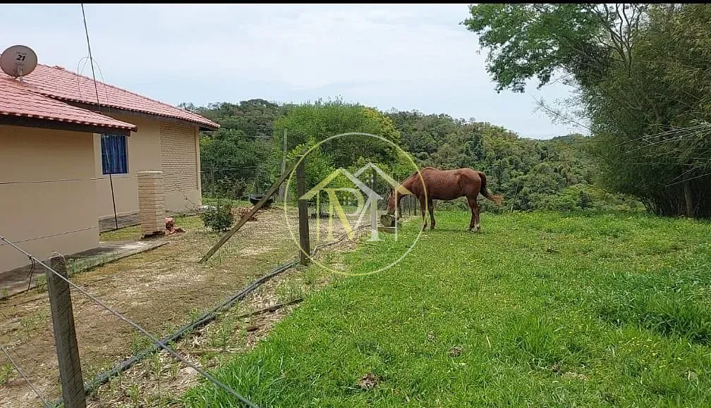 Chácara, 18 hectares - Foto 19