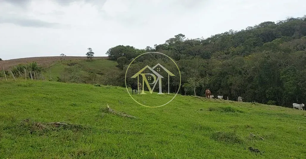 Chácara, 18 hectares - Foto 25