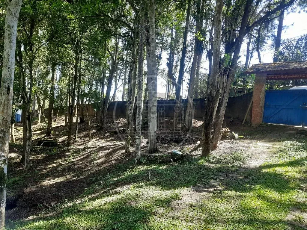 Fazenda, 3650 m² - Foto 11