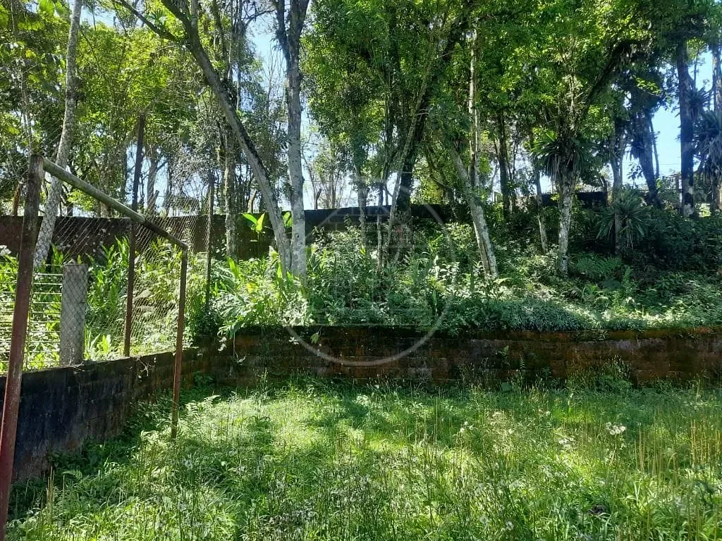Fazenda, 3650 m² - Foto 25
