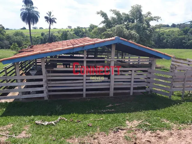 Sítio com 145200m² 4 quartos e 6 banheiros, à venda, no bairro Cajuru em Cajuru