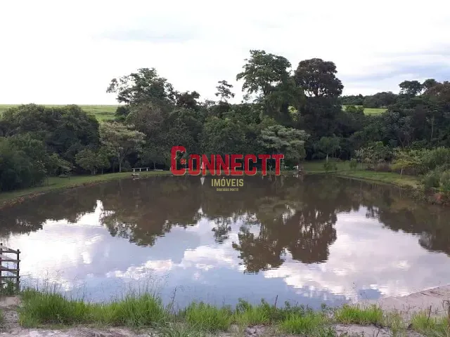 Sítio com 145200m² 4 quartos e 6 banheiros, à venda, no bairro Cajuru em Cajuru