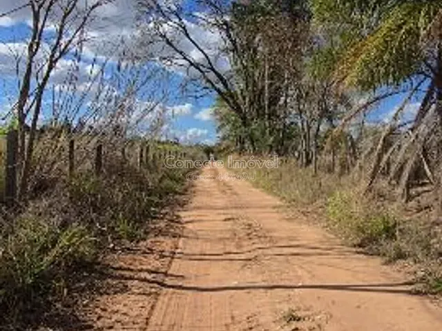 Sítio com 20000m² 2 quartos e 2 banheiros, à venda, no bairro Área Rural de Mogi Mirim em Mogi Mirim