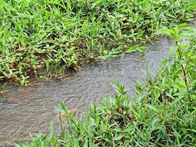 Sítio com 20000m² 2 quartos e 2 banheiros, à venda, no bairro Área Rural de Mogi Mirim em Mogi Mirim