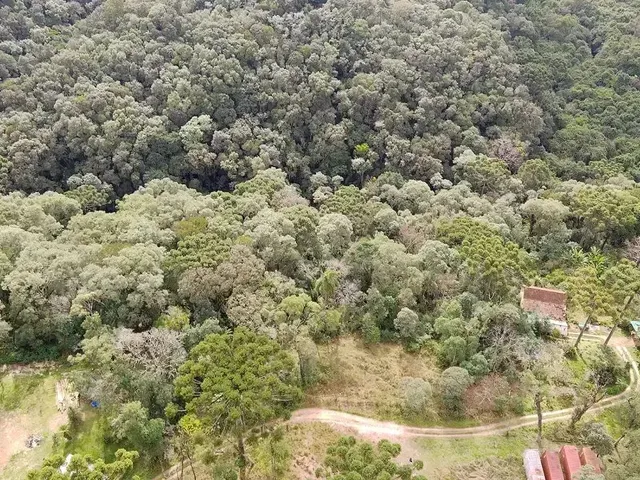 Sítio com 8615m², à venda, no bairro Itaqui de Cima em Campo Largo