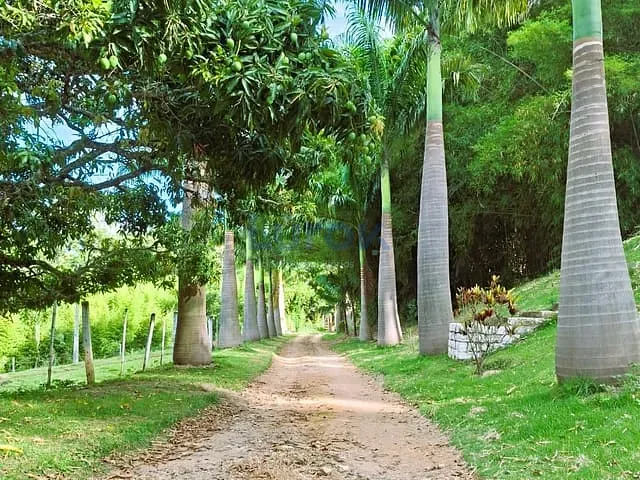Sítio com 181000m² 2 quartos e 1 banheiro, à venda, no bairro Rural em Bragança Paulista