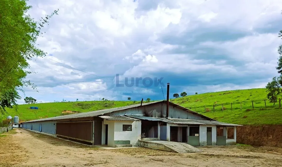 Fazenda, 18 hectares - Foto 3