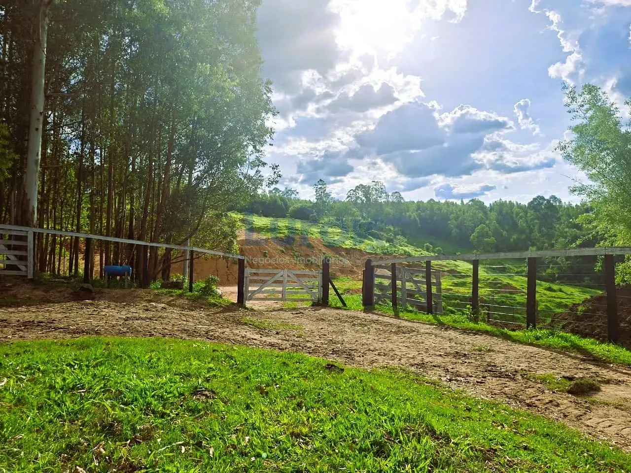 Fazenda, 18 hectares - Foto 7