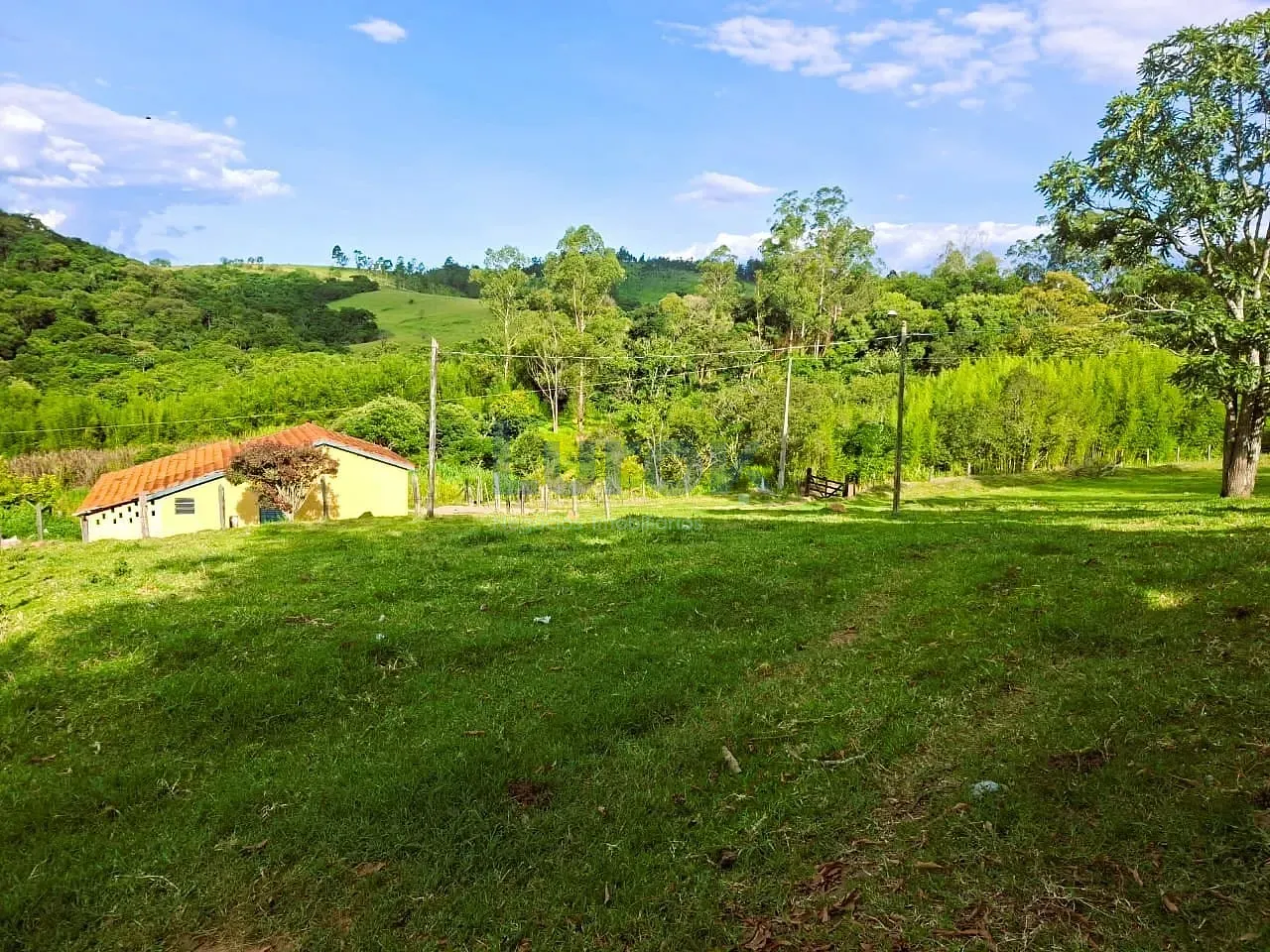 Fazenda, 18 hectares - Foto 6