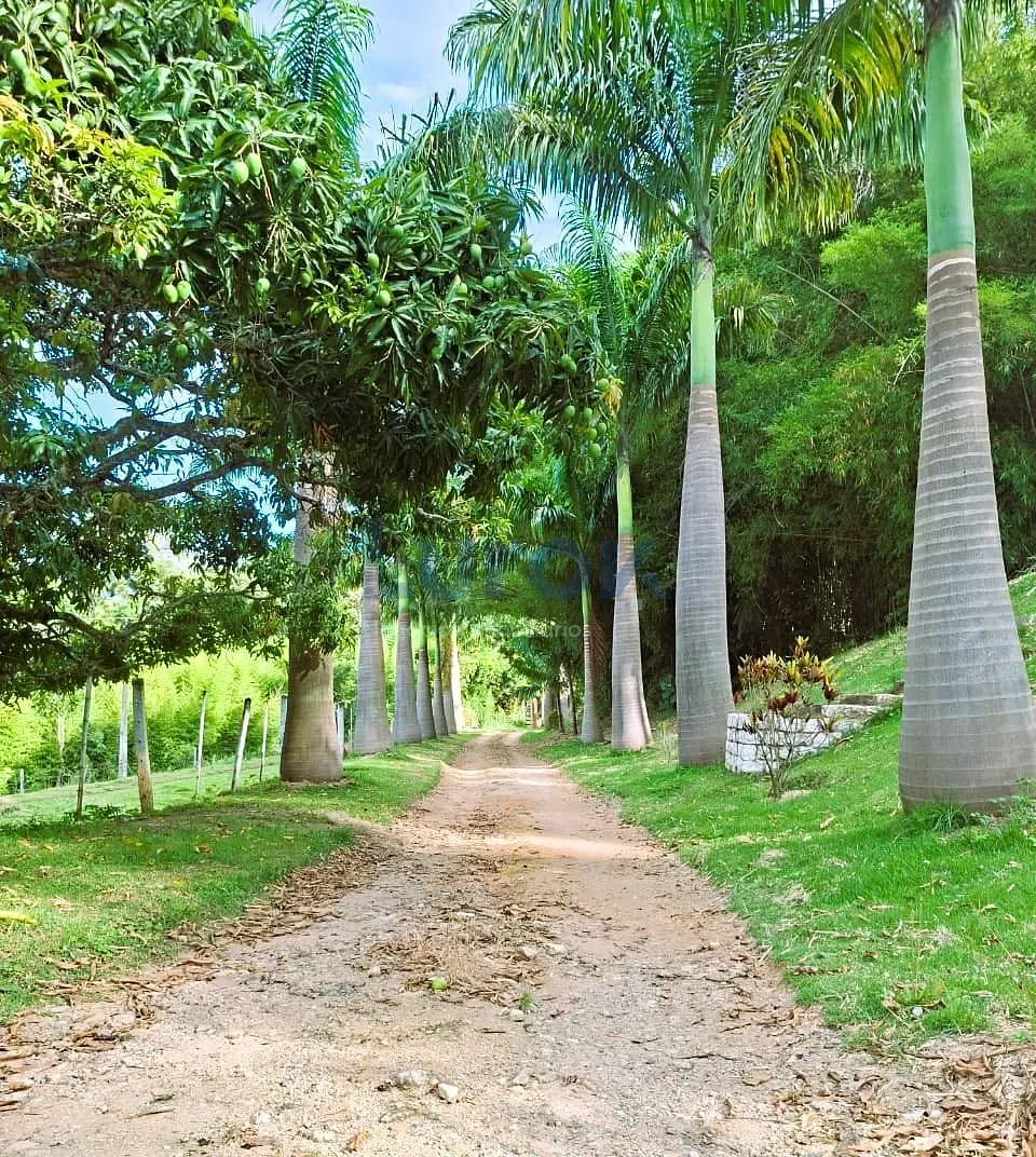 Fazenda, 18 hectares - Foto 1
