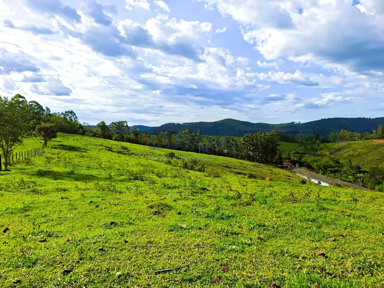 Fazenda, 18 hectares - Foto 8