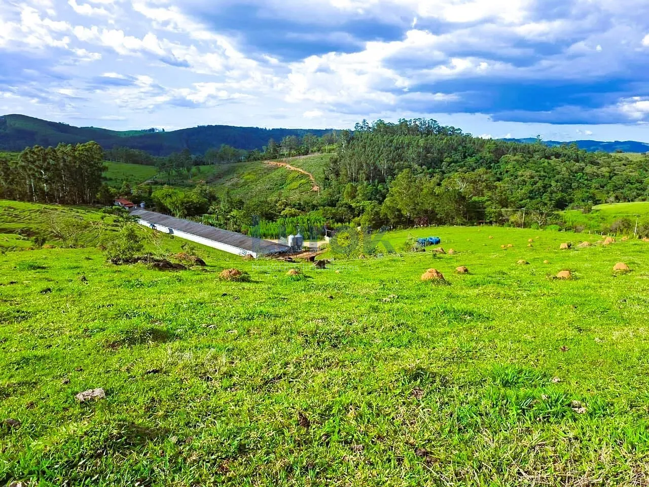 Fazenda, 18 hectares - Foto 9