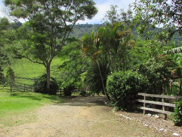 Foto do Sítio - Sítio rural à venda, Bairro Biguá, Delfim Moreira. | MOHALLEM e LOPES CORRETAGEM E ADMINISTRACAO DE IMOVEIS LTDA
