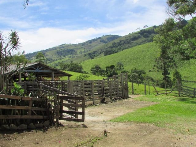 Foto do Sítio - Sítio rural à venda, Bairro Biguá, Delfim Moreira. | MOHALLEM e LOPES CORRETAGEM E ADMINISTRACAO DE IMOVEIS LTDA