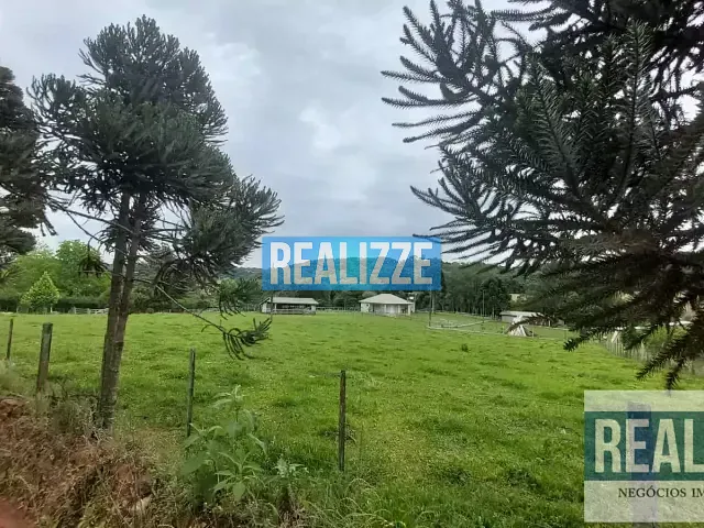 Sítio com 3500m², à venda, no bairro Sede Independência Taquari em Marau