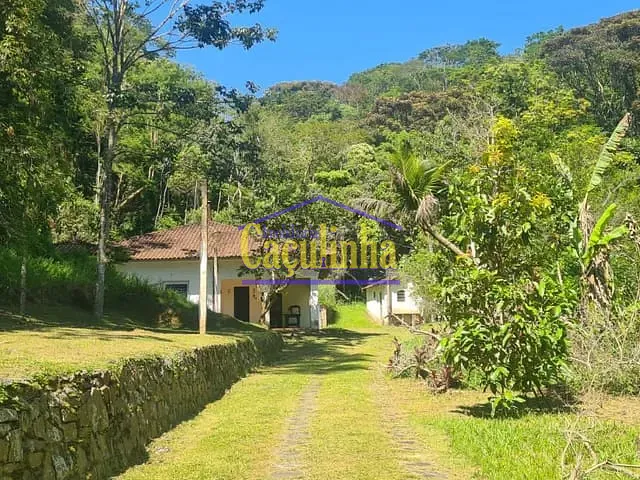 Sítio com 135000m², à venda, no bairro Cinco Lagos em Mendes
