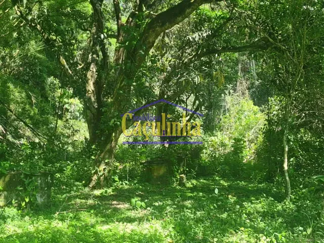 Sítio com 135000m², à venda, no bairro Cinco Lagos em Mendes