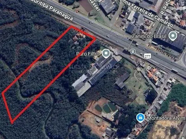 Sítio à venda, no bairro Roseira em São José Dos Pinhais