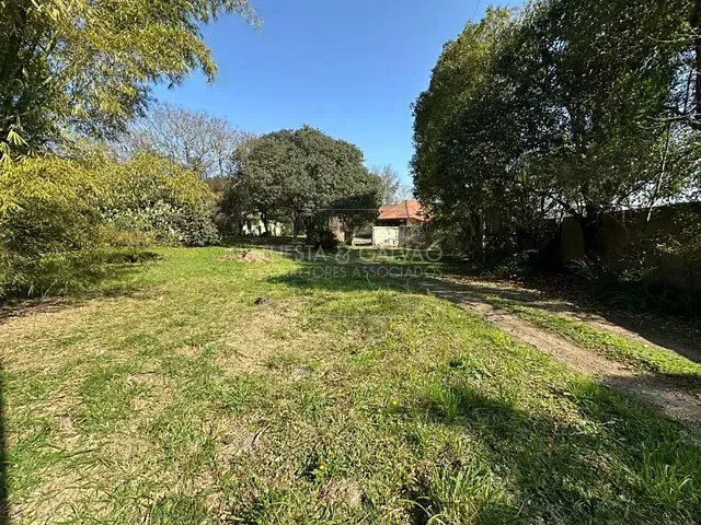 Sítio à venda, no bairro Roseira em São José Dos Pinhais