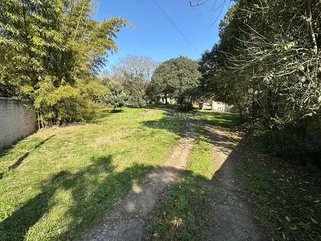 Sítio à venda, no bairro Roseira em São José Dos Pinhais