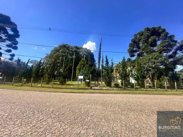 Sítio com 3330m² 4 quartos e 3 banheiros, à venda, no bairro Borda Do Campo em São José Dos Pinhais