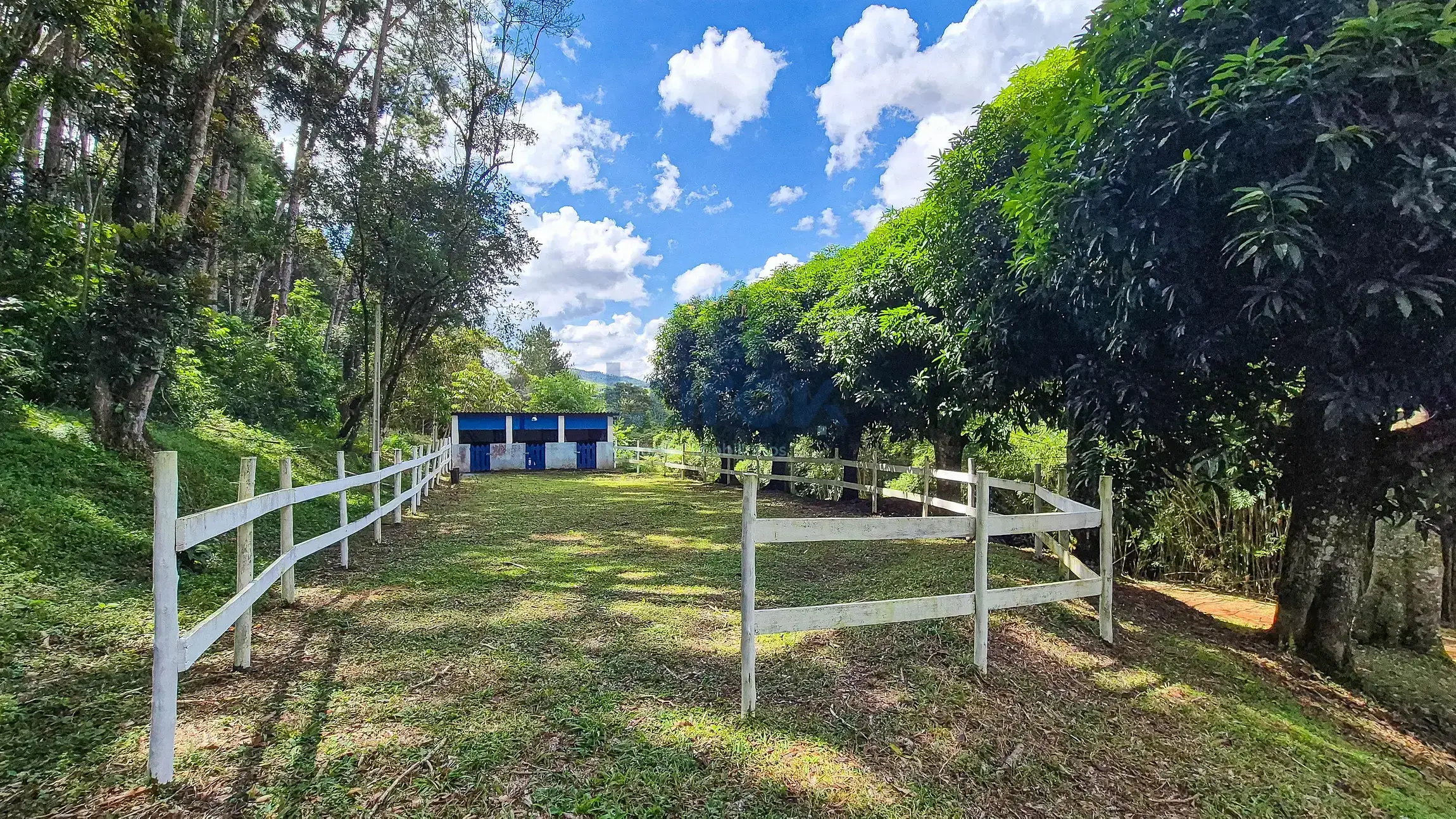 Fazenda, 11 hectares - Foto 97