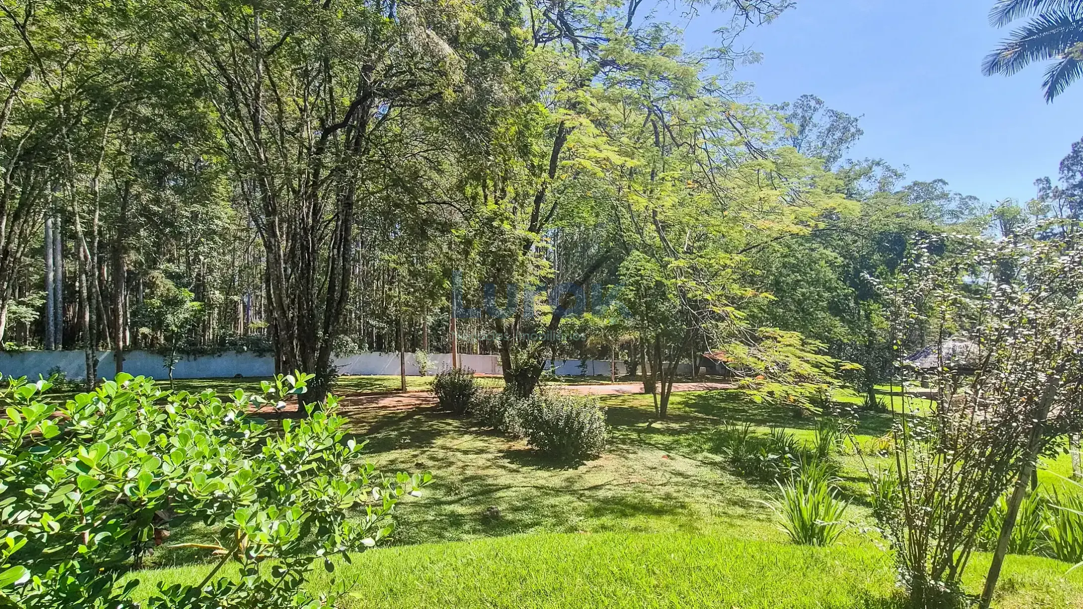 Fazenda, 11 hectares - Foto 69