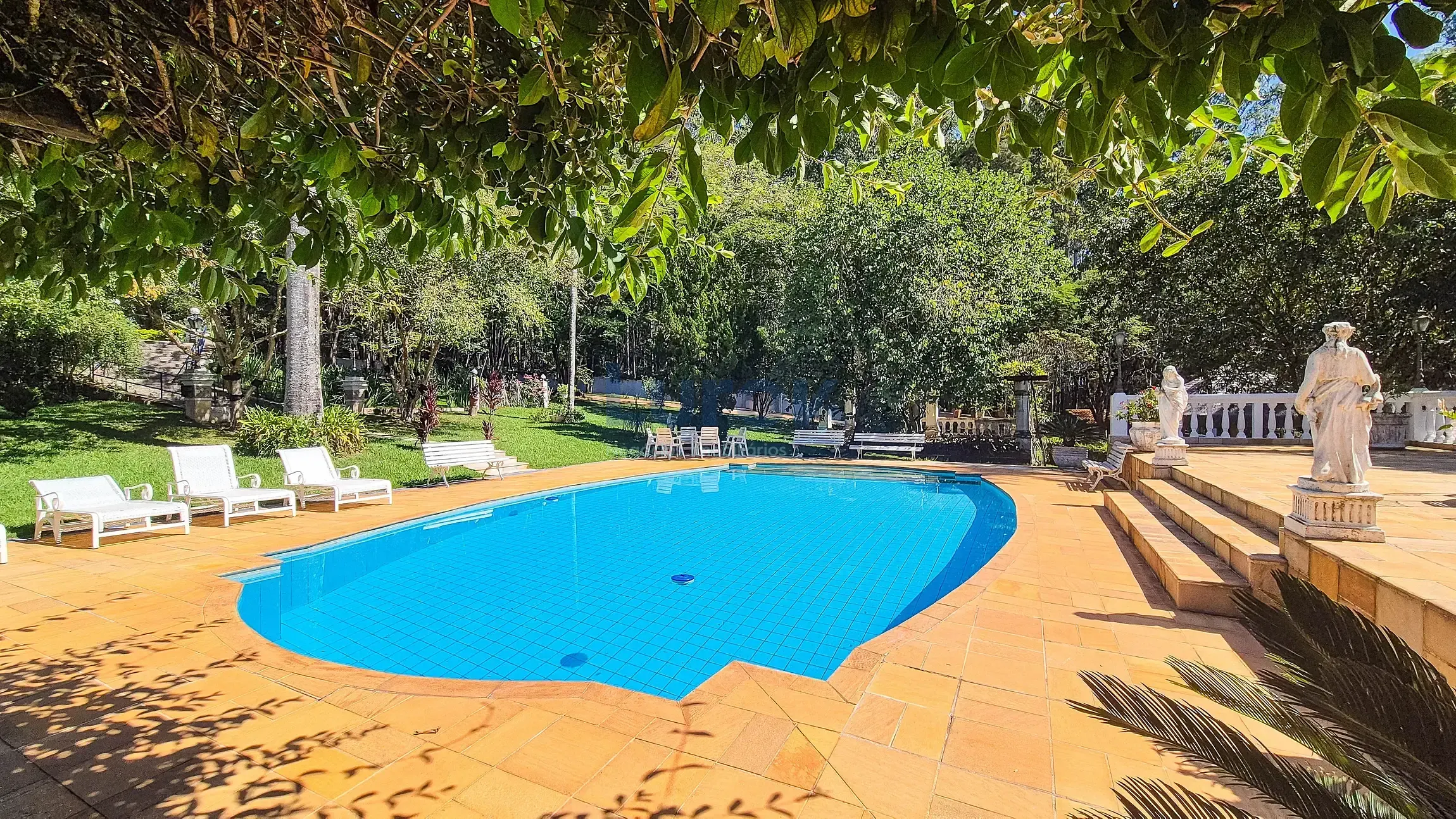 Fazenda, 11 hectares - Foto 74