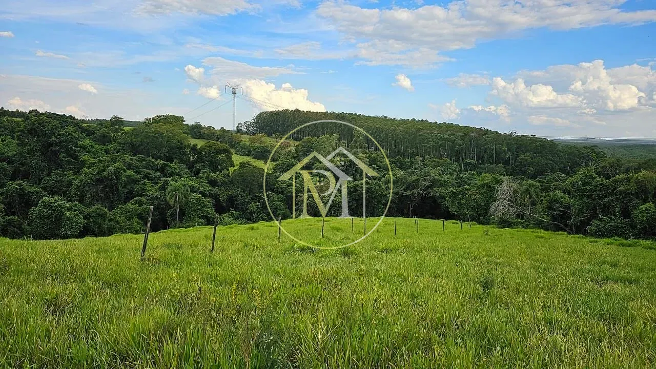 Sítio, 3 quartos, 5 hectares - Foto 8