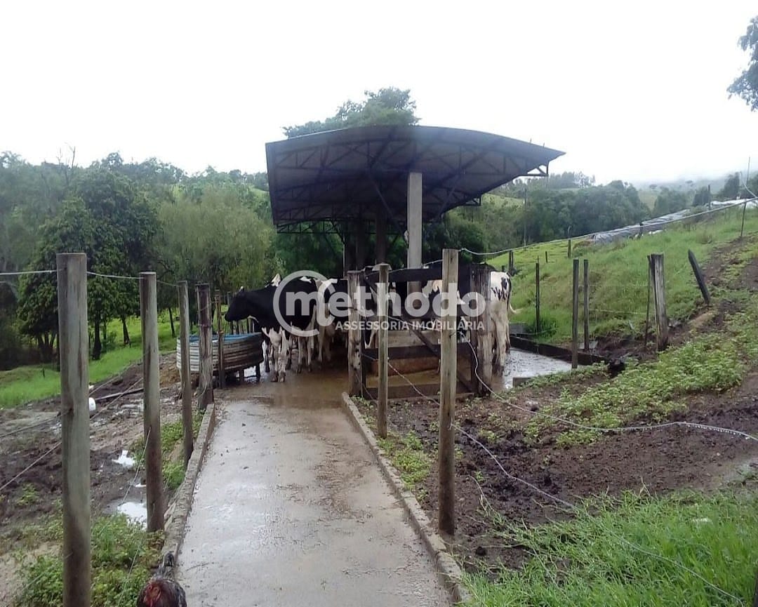 Fazenda, 28 hectares - Foto 16