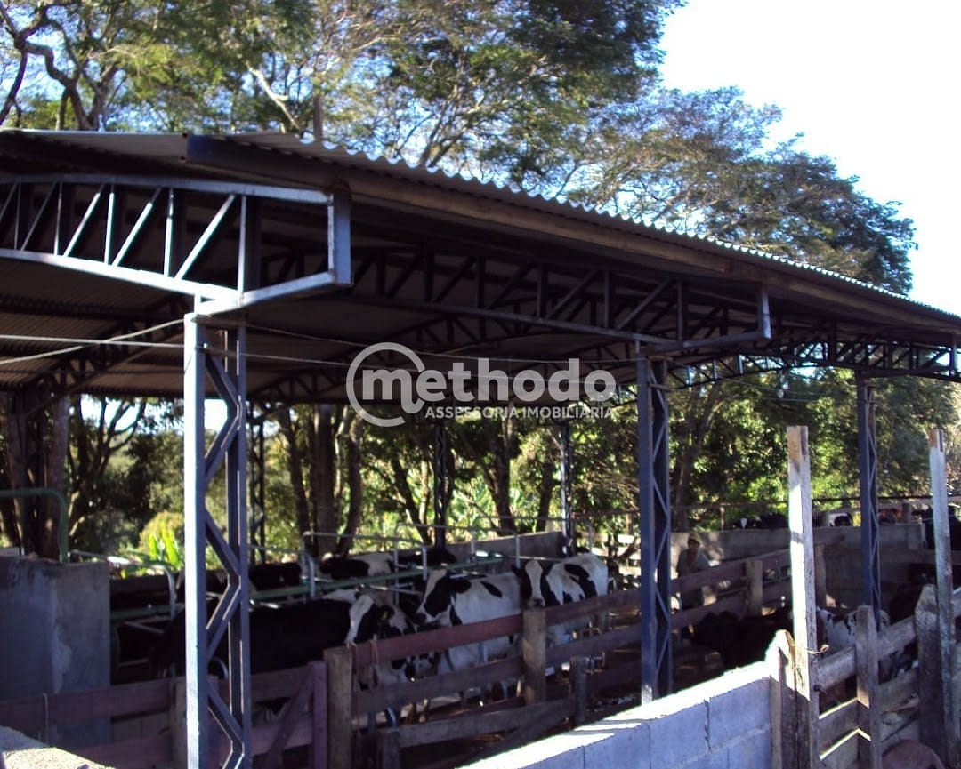 Fazenda, 28 hectares - Foto 5