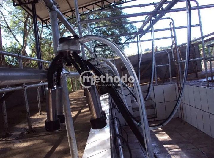 Fazenda, 28 hectares - Foto 27