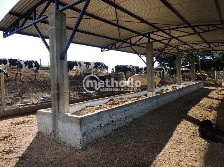 Fazenda, 28 hectares - Foto 29