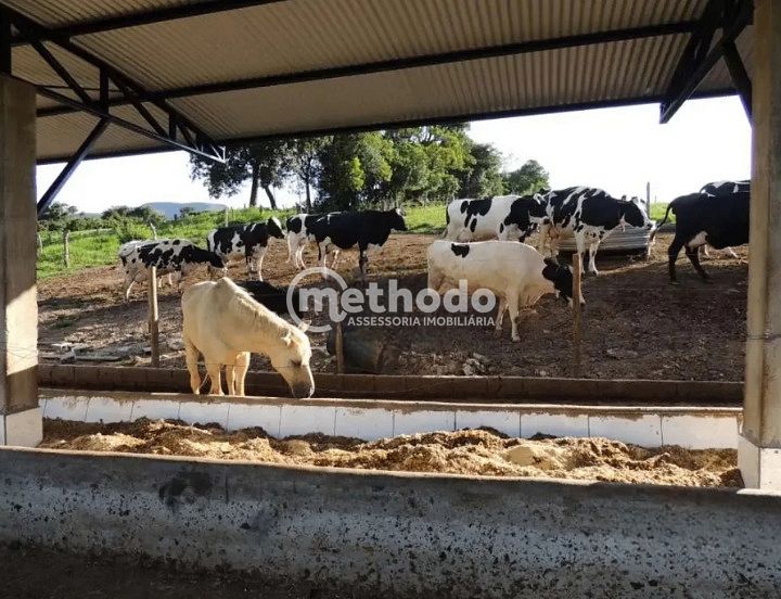Fazenda, 28 hectares - Foto 30