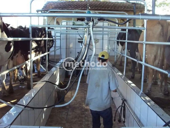 Fazenda, 28 hectares - Foto 23