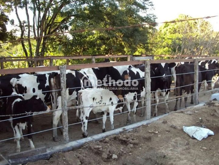 Fazenda, 28 hectares - Foto 24