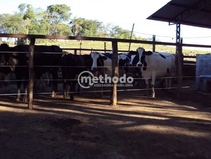 Fazenda, 28 hectares - Foto 25