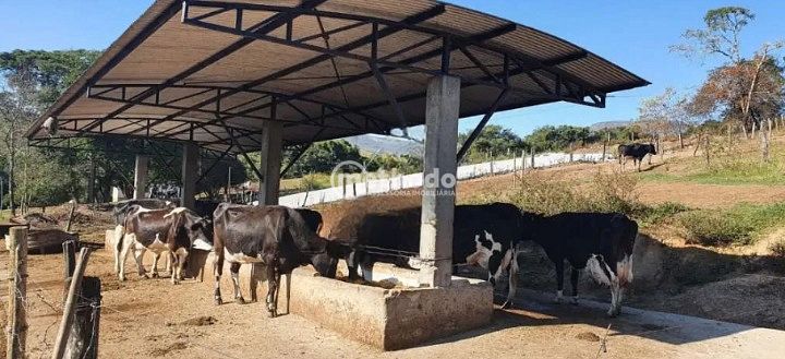 Fazenda, 28 hectares - Foto 26