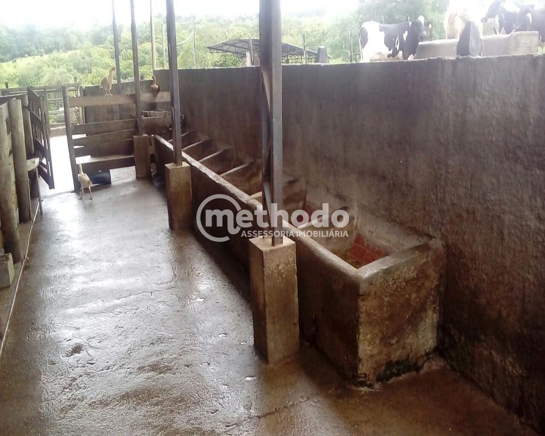 Fazenda, 28 hectares - Foto 13