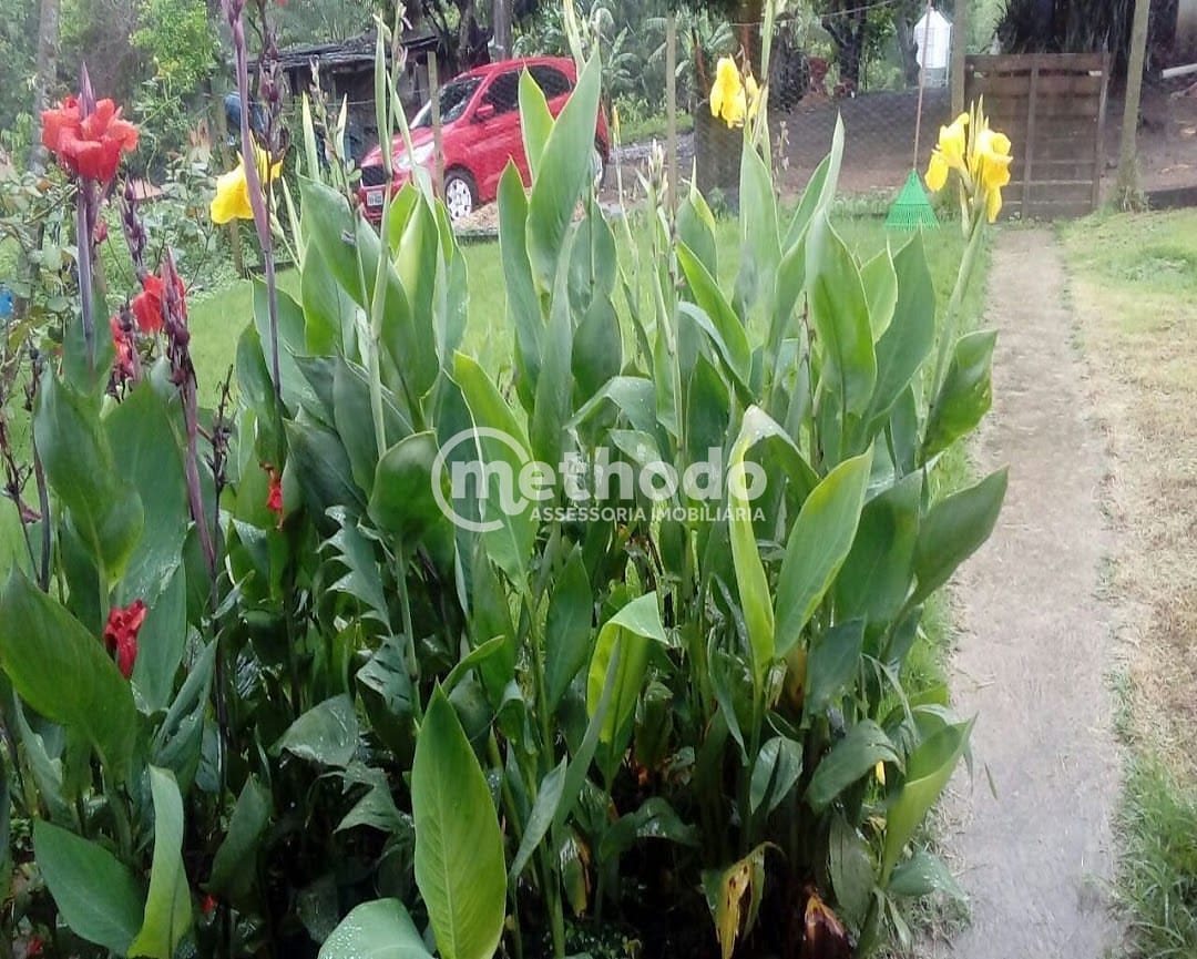 Fazenda, 28 hectares - Foto 19