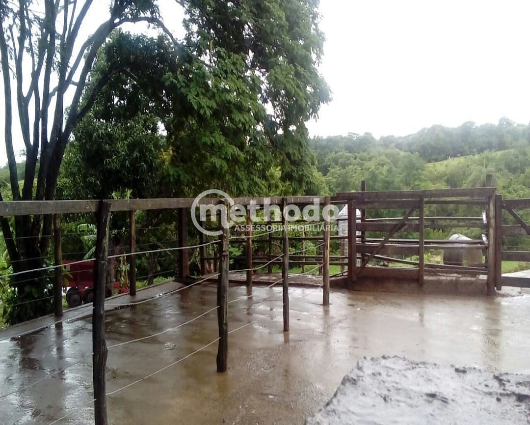 Fazenda, 28 hectares - Foto 15