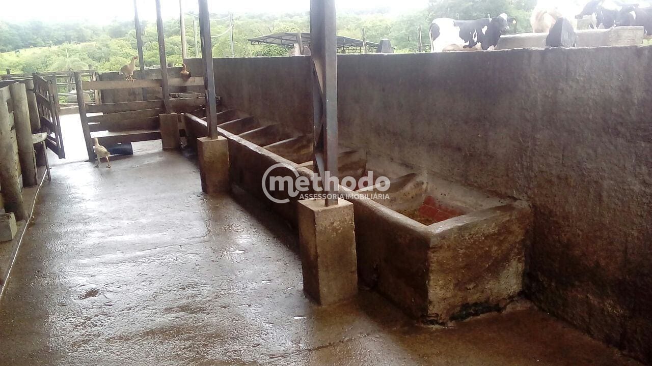 Fazenda, 28 hectares - Foto 34