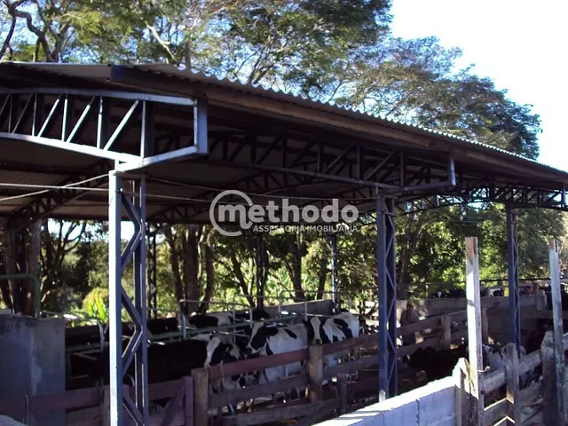 Sítio com 280000m² 6 quartos e 3 banheiros, à venda, no bairro São Benedito em Alpinópolis